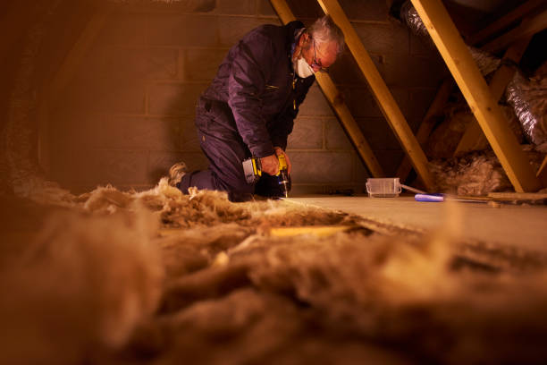 Best Commercial Insulation Services  in USA